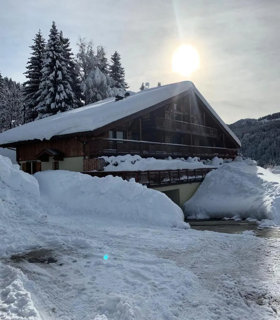 Apartment Residence Les Logis De Bellecombe - Appartement De Charme A Cote Des Pistes De L'Espace Diamant Mae-5144